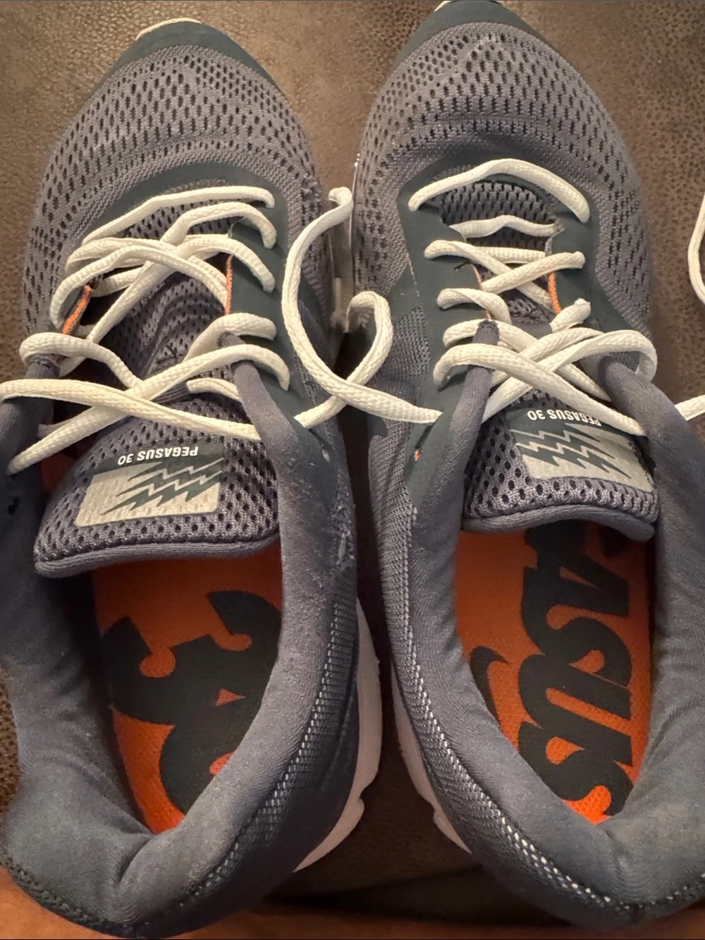 NIKE Air Pegasus+ 30 Limited Edition Sneakers - Size 11
